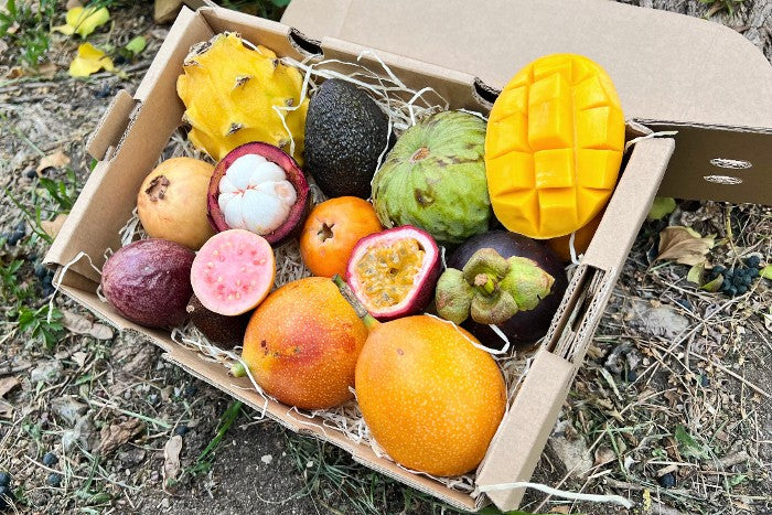 Probierbox "Exotische Früchte" Prueba