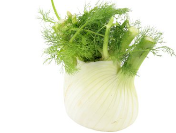 Fenchel Bio demeter regional aus Bayern