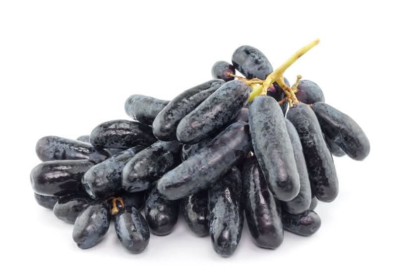 Finger-Trauben Bio "Sweet Sapphire"
