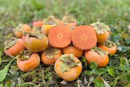 Kaki "Fuyu" (Apfel-Kaki) von Julian Sparpreis-Box %