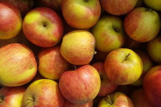 Apfel "Geheimrat Dr. Oldenburg" alte Sorte Bio regional