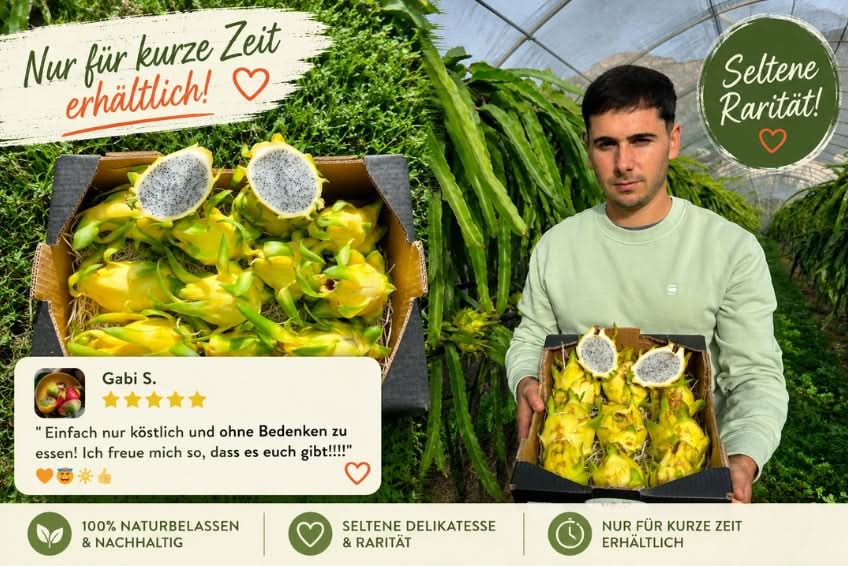 Drachenfrucht Isis Gold 1 Stk.