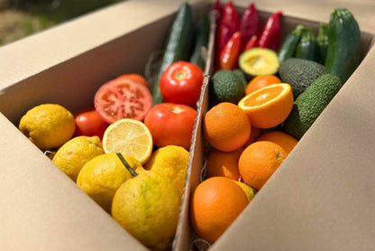 Bio Obst & Gemüse Retterbox 5kg