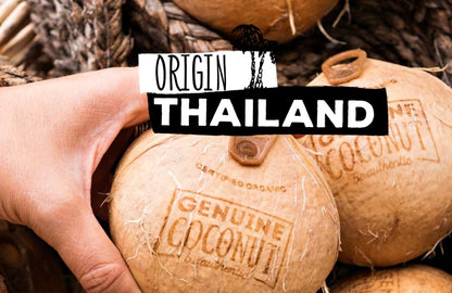 Frische Trink Kokosnuss Bio Drink & Eat aus Thailand