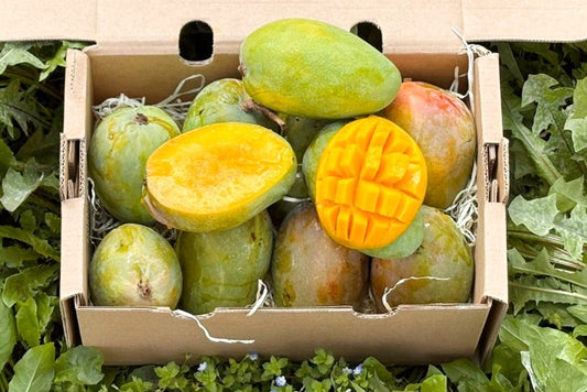 Mango Glenn Bio von Julian