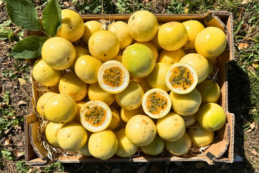 Goldene Passionsfrüchte süß