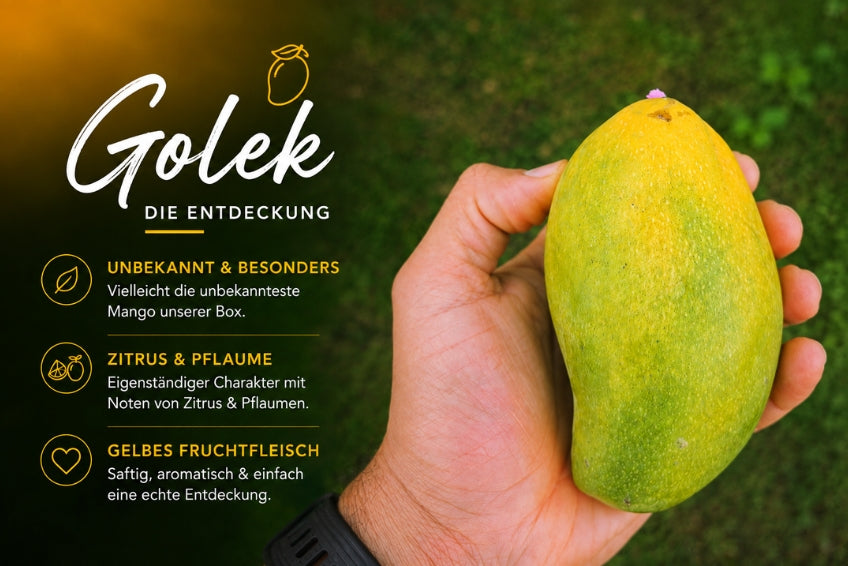 Ägyptische Mango Entdeckerbox (3kg)