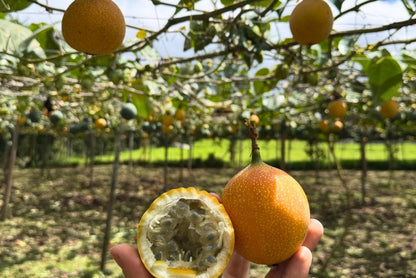 Süße Granadilla Aktionspreis % 1,5kg