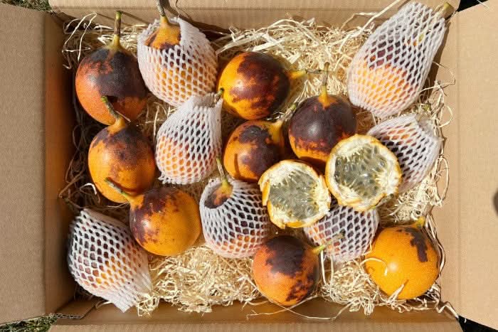 Granadilla Retter-Box % 2kg