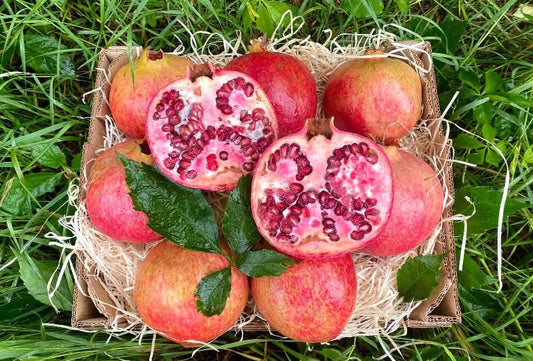 Granatapfel "Wonderful" Bio Demeter von Julia