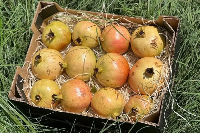 Bio Früchte Trio von Julian große Sparaktion % 12kg