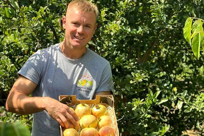 Granatapfel Mollar Bio von Julian Retter-Box