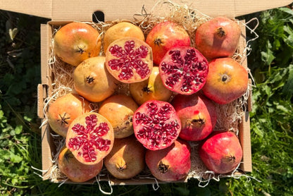 Granatapfel Mix Bio von Antonio Sonderaktion %