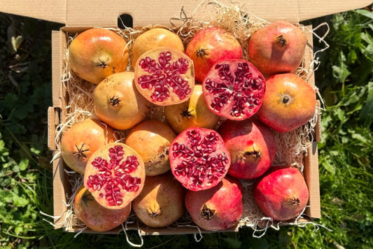 Granatapfel Mix Bio von Antonio Sonderaktion %