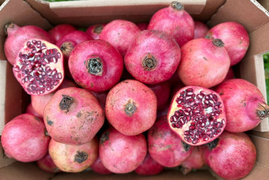 Granatapfel von Enzo Bio Retterbox 4kg %