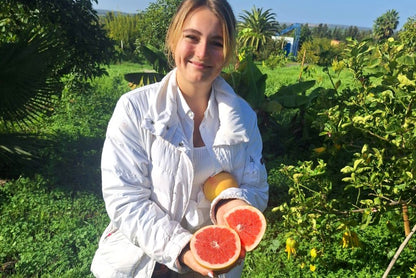 Grapefruit rose Bio von Andres Sparpreis-Box %