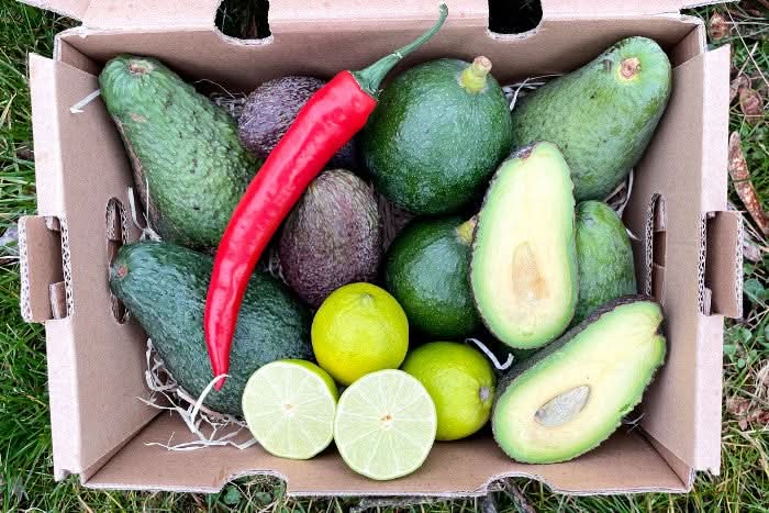 Holy Guacamole Box bestellen