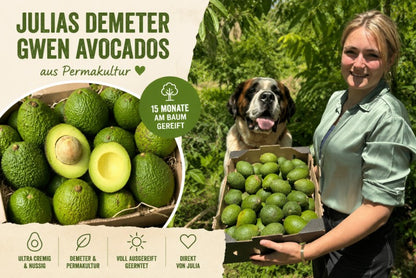Avocado Gwen Bio & Demeter Finca Jelanisoli