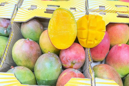 Mango Haden Bio baumgereift von Jose Luis