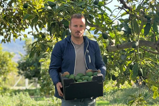 Avocado von Nicolas Retterbox Sonderpreis
