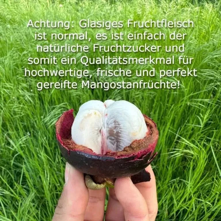 Mangostan von Juan Naturbelassen