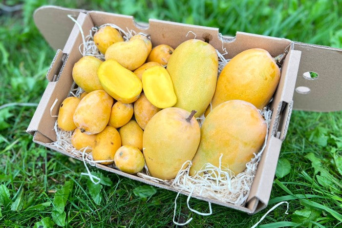 Honigmango Ataulfo Mix Bio 2kg