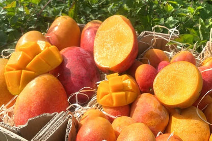 Edel Mango Irwin Gold Mix von Julian Bio Sparpreis-Box % 3,5kg