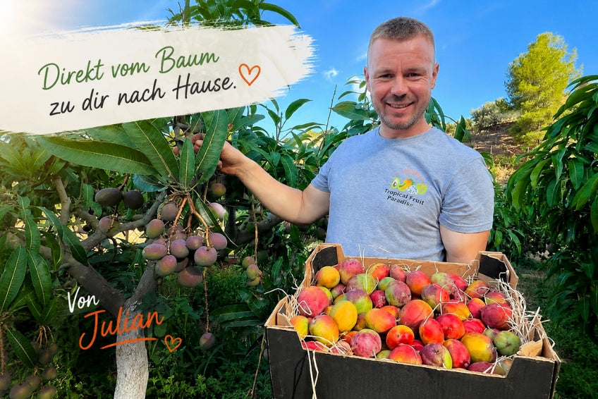 Baby-Mango Irwin Bio von Julian