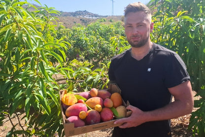 Mango Irwin Bio von Jaime Aktionspreis %