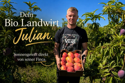 Mango Irwin Edelsorte Bio von Julian