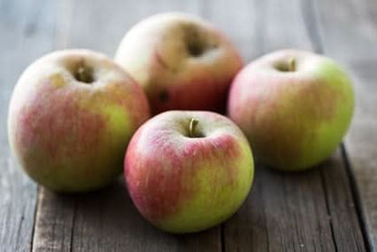 Bio Apfel Jakob Fischer – große rot-gelbe alte Apfelsorte aus Bayern, allergikerfreundlich und aromatisch