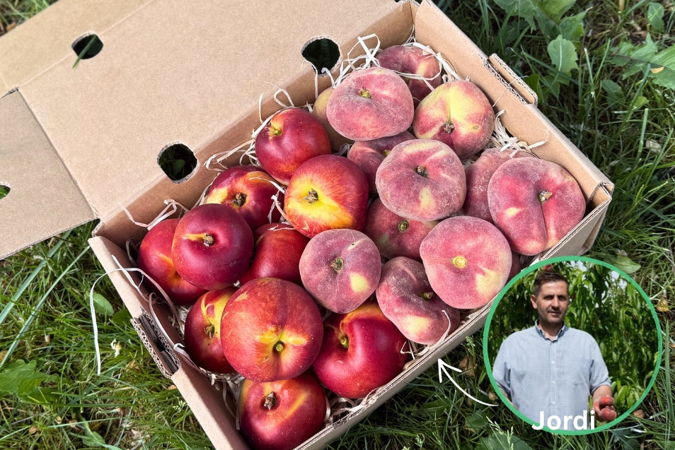 Pfirsich & Nektarinen Bio von Jordi Retterbox 3kg