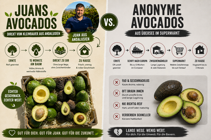 Avocado "Späternte" Mix von Juan 3kg