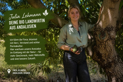 Avocado Hass von Julia Demeter & Permakultur