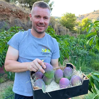 Mango Entdeckerbox Bio & Wild Sparpreis-Box