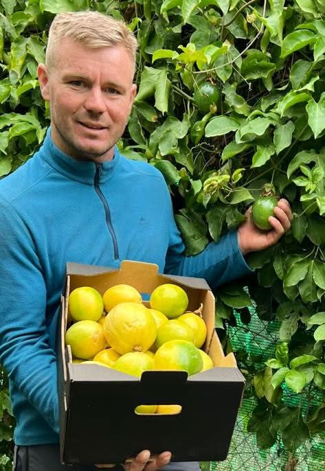 Bio-Erzeuger Julian mit gelber Maracuja aus Spanien bei der Ernte im Passionsfrucht-Garten