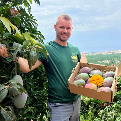 Mango Mix von Julian Retterbox