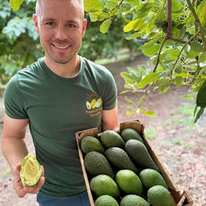 Obstbox "Cher-Man-Cado" Aktionspreis % 4kg
