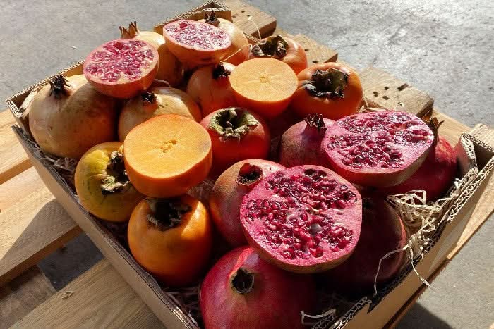 Bio Obstbox "Kaki & Granatapfel" Sparpreis % 4kg