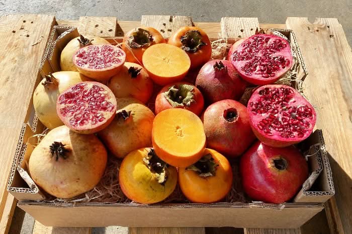 Bio Obstbox "Kaki & Granatapfel" Sparpreis % 4kg