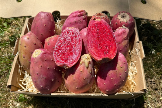 Kaktusfeigen rot (Tuna roja)