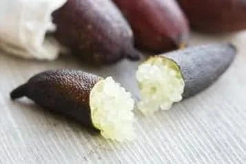Kaviarlimetten Bio aus Sizilien