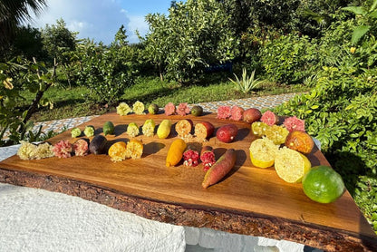 Kaviarlimetten Bio von Julia