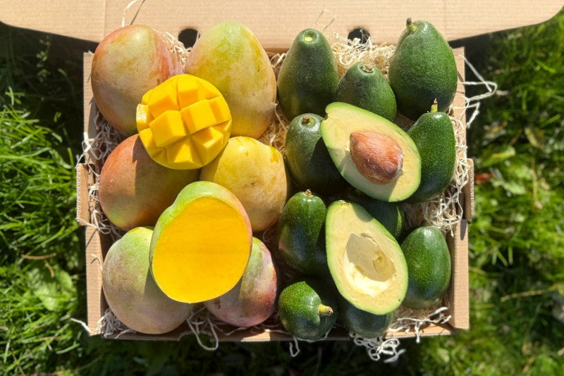 Man-Cado "Keitt & Bacon" Bio Box 4kg