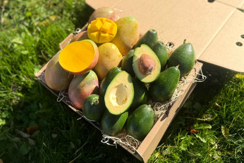 Man-Cado "Keitt & Bacon" Bio Box 4kg