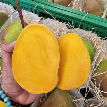 Mango Kensington Pride von Julian Farmerbox