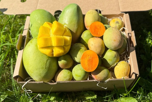 Mango Kensington Pride – Mama & Baby Aktionsbox % 2kg