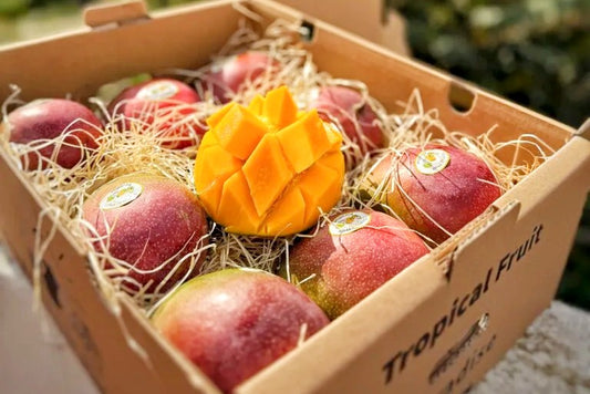 Mango Kent baumgereifte Flugware