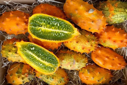 Kiwano von Salvador Aktionspreis % 1kg