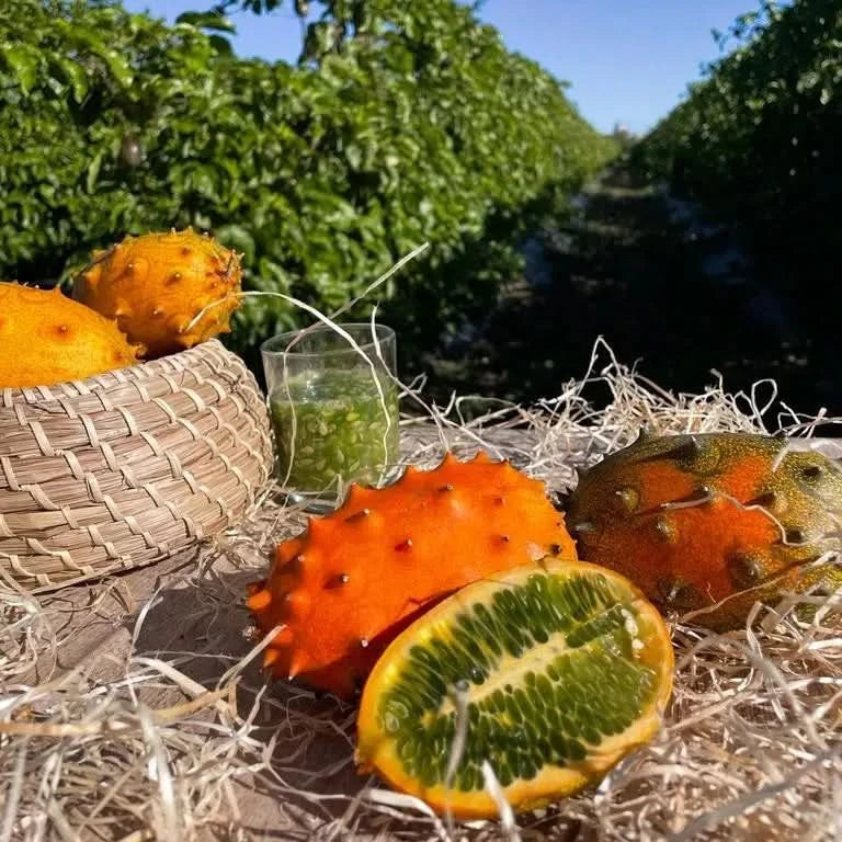 Kiwano von Salvador Aktionspreis % 1kg